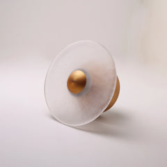 The Orbis frosted glass wall sconce with brass dome, front view
